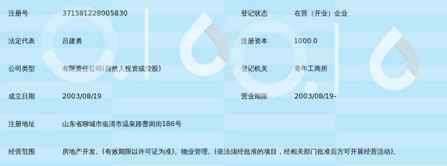 临清市青年房地产开发